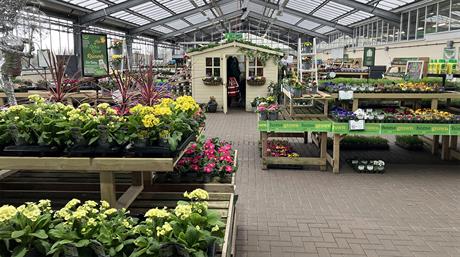 HortWeek review 2025: Top 50 plants sold in garden centres - EPOS data 2025